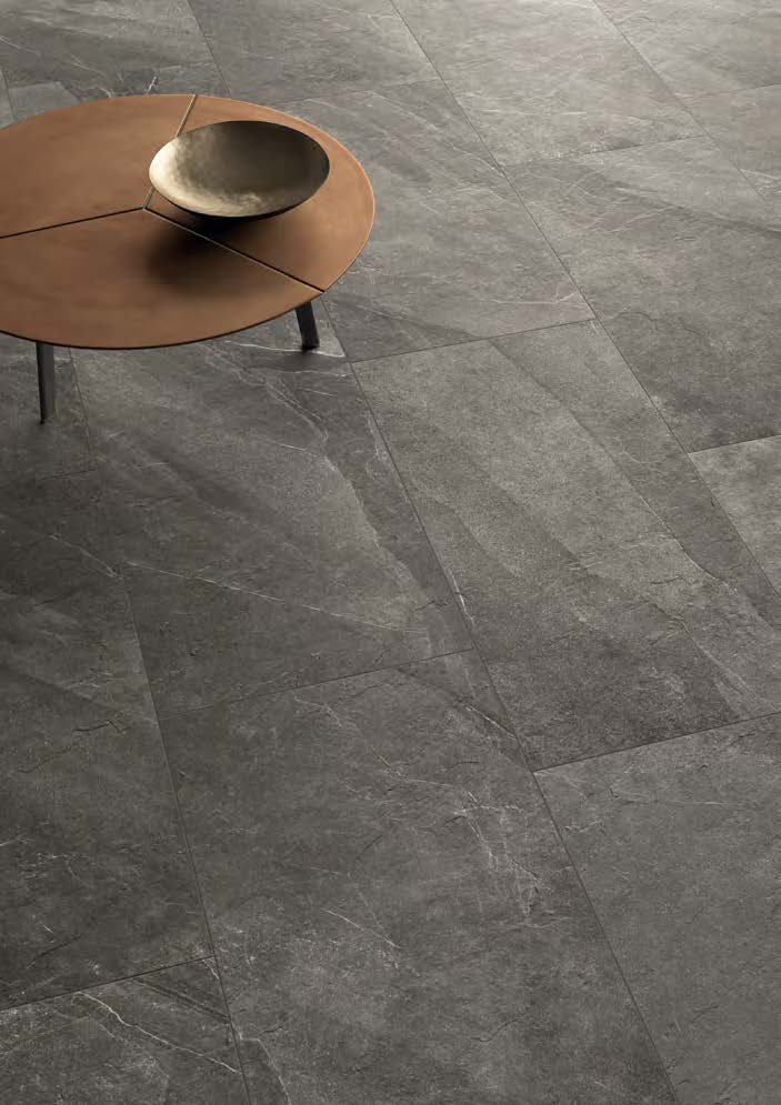 SHALE_Page_21_Image_0001